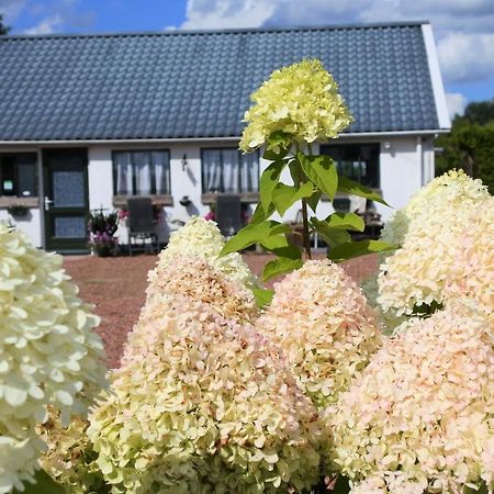Sfeervol Appartement Het Knooppunt Nuis Kültér fotó